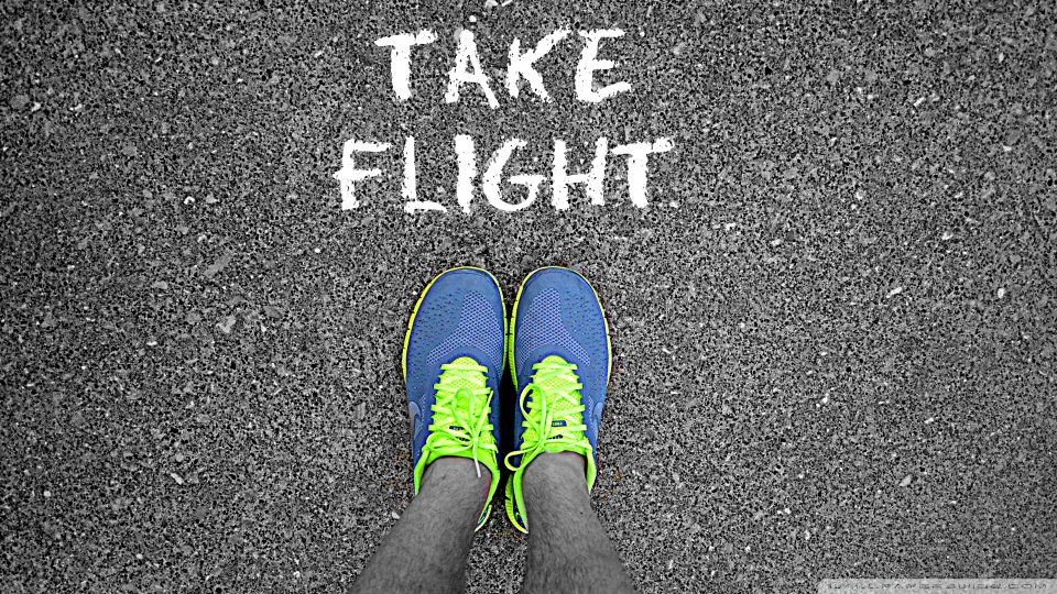 take_flight-wallpaper-960x540