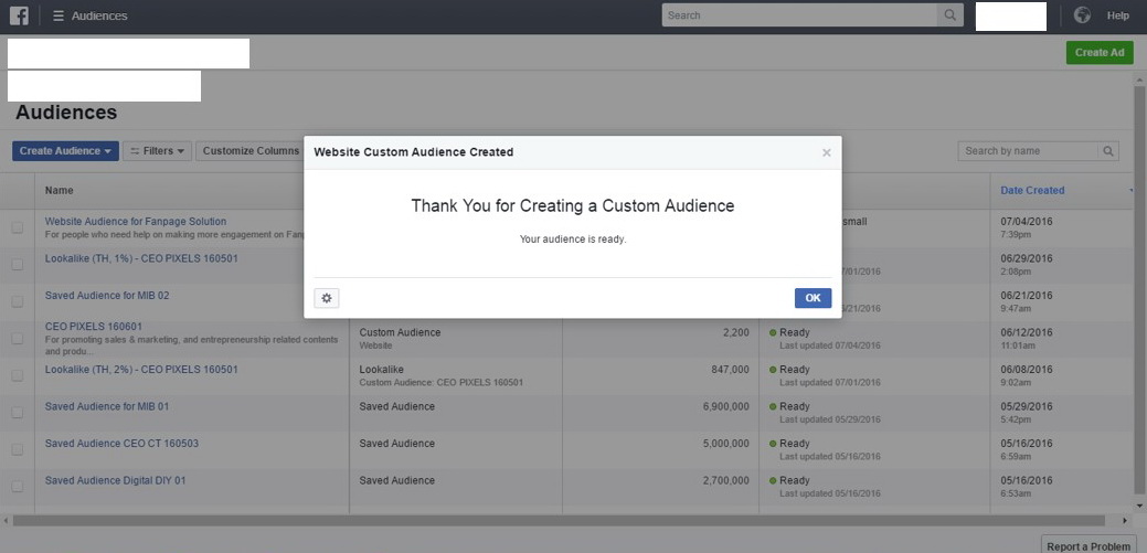 CEOblog Facebook Custom Audience 10